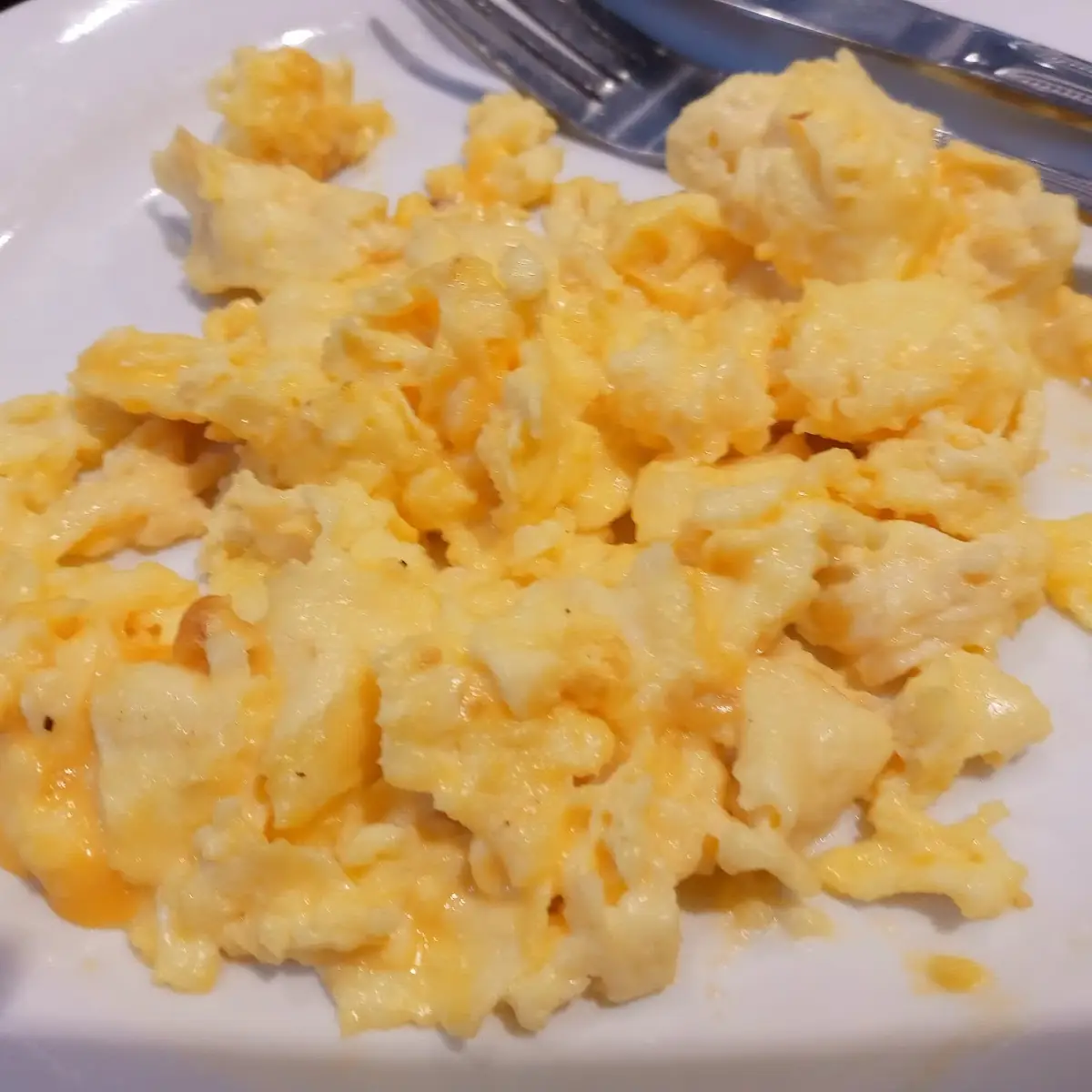 Scrambled Egg