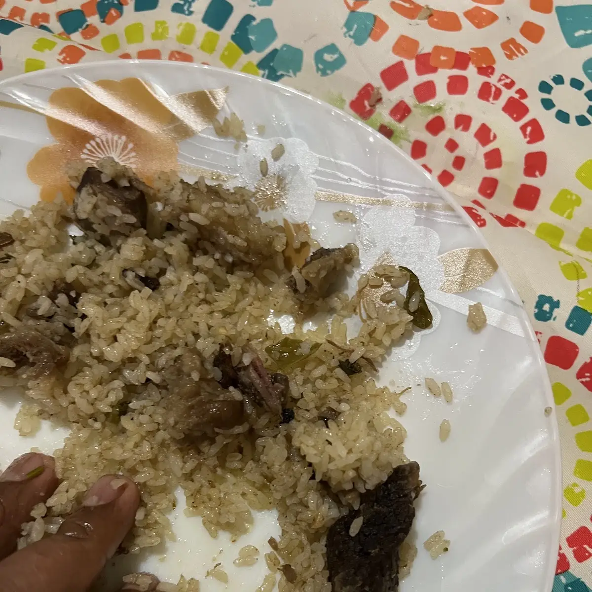 Chicken Biryani
