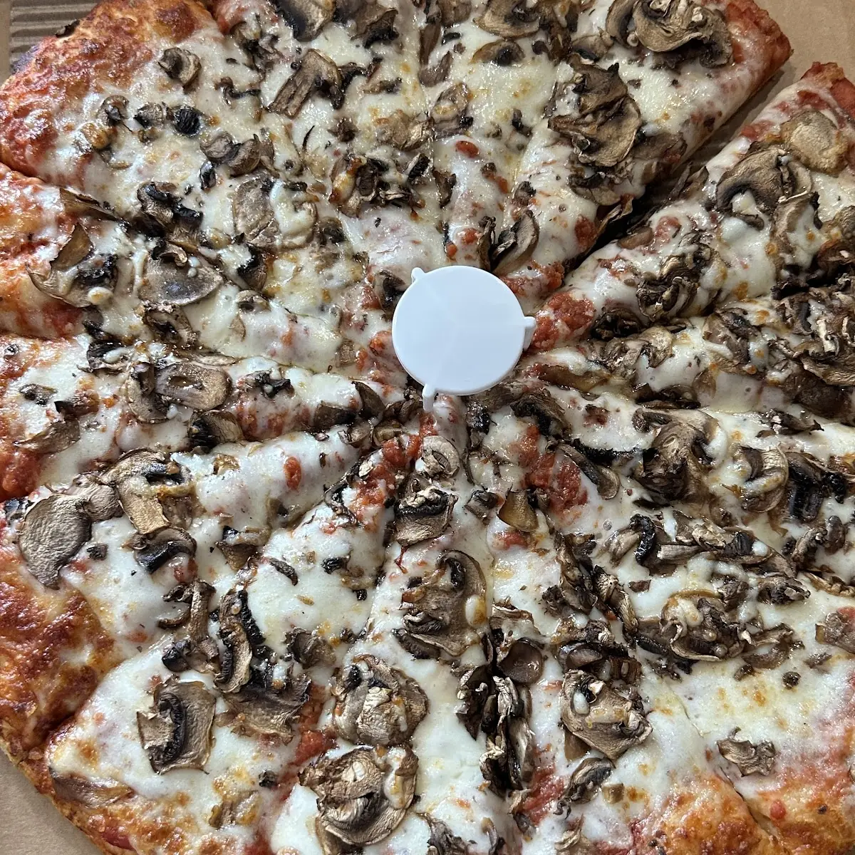 Mushroom Pizza