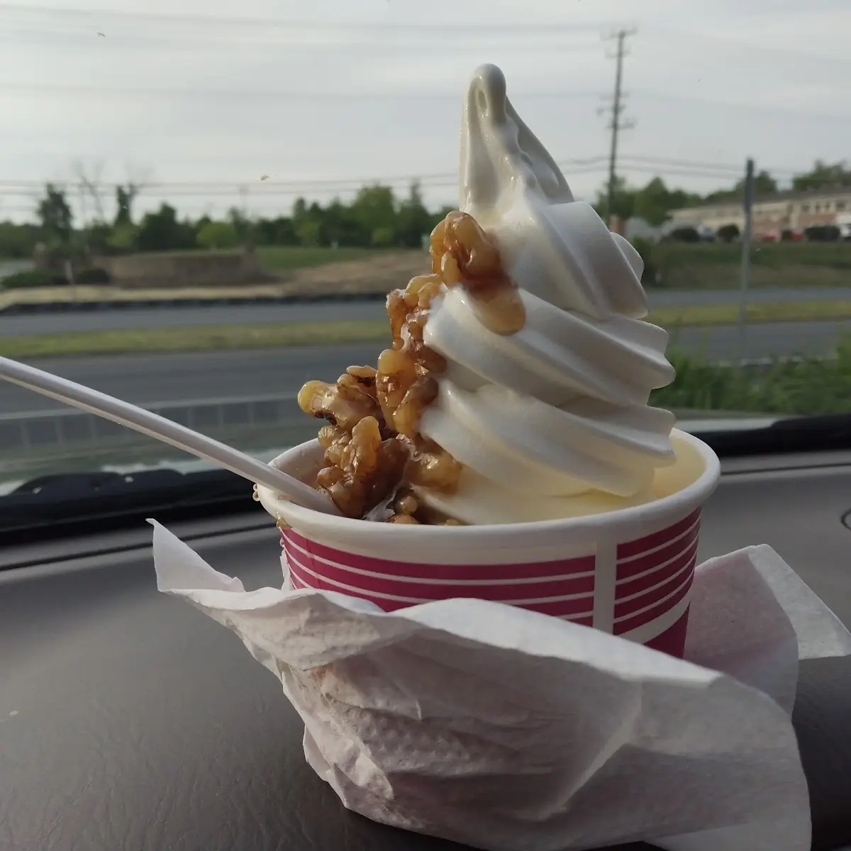 Vanilla Soft Serve with Wet Walnuts