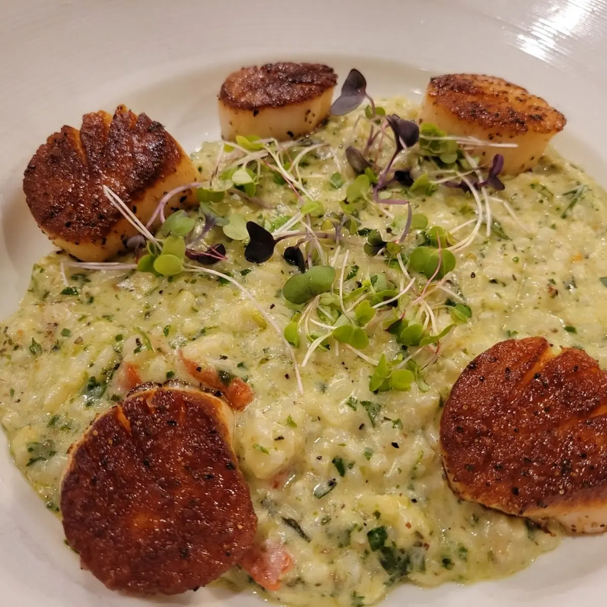 Seared Scallops over Risotto
