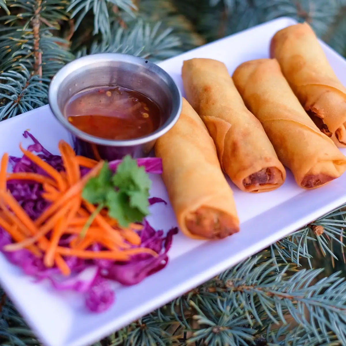Fried Spring Rolls