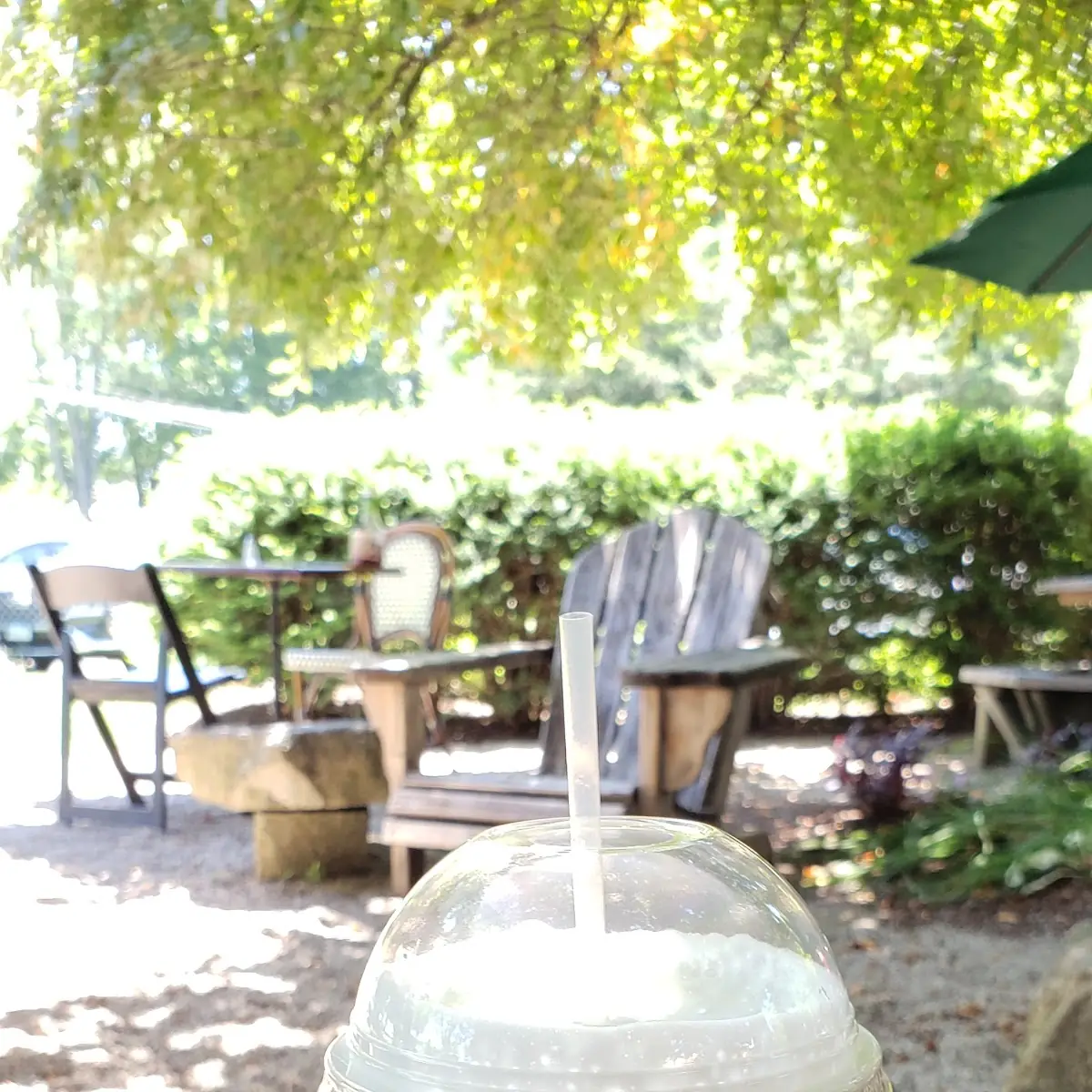 Coconut Foam Cold Brew