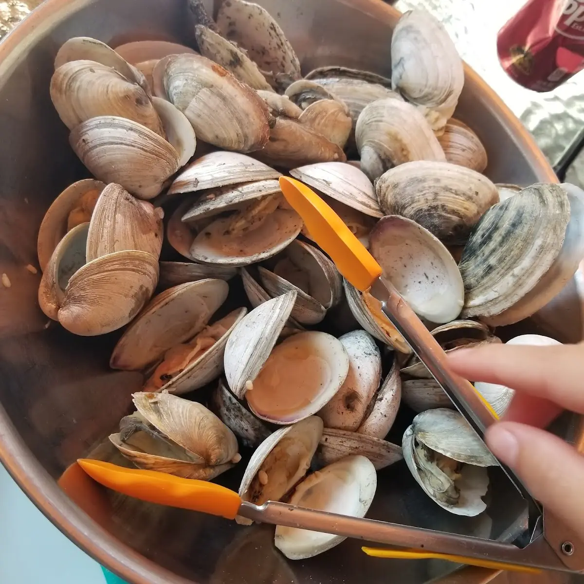 Steamed Clams