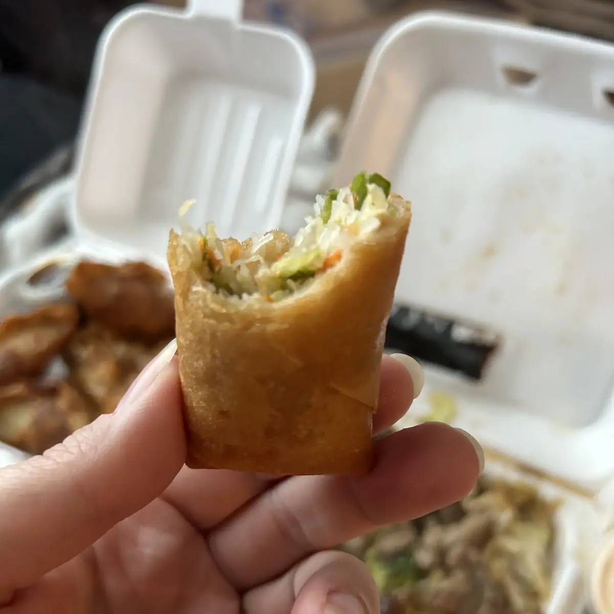 Spring Rolls
