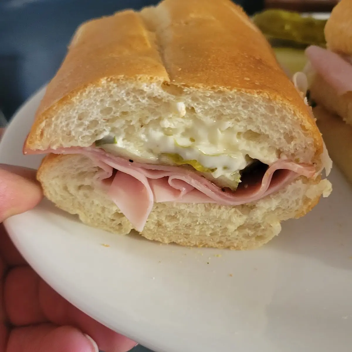 Ham and Cheese Steak Sandwich