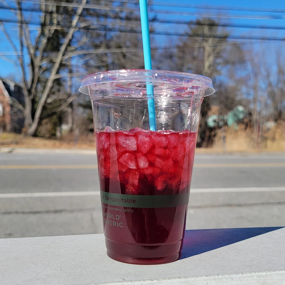 Hibiscus Iced Tea