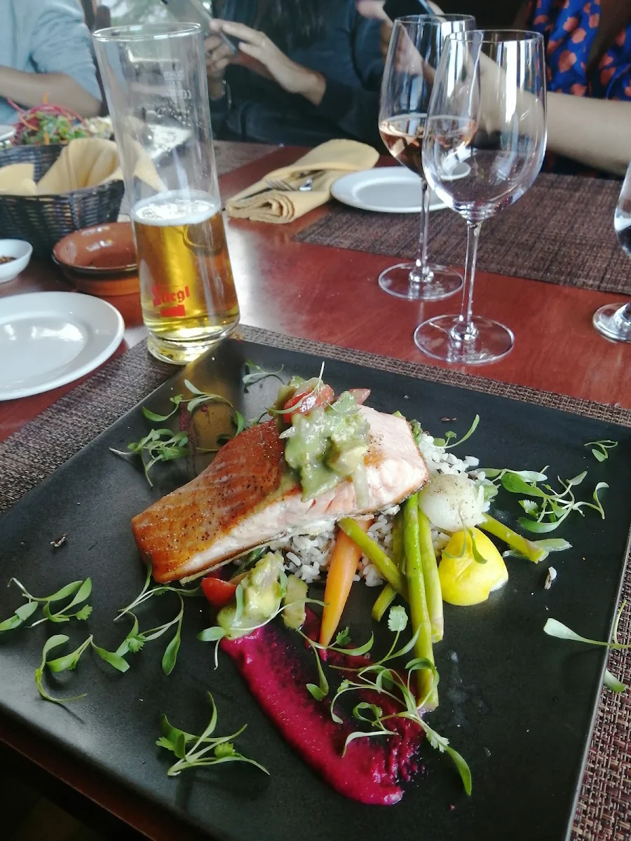 Salmon