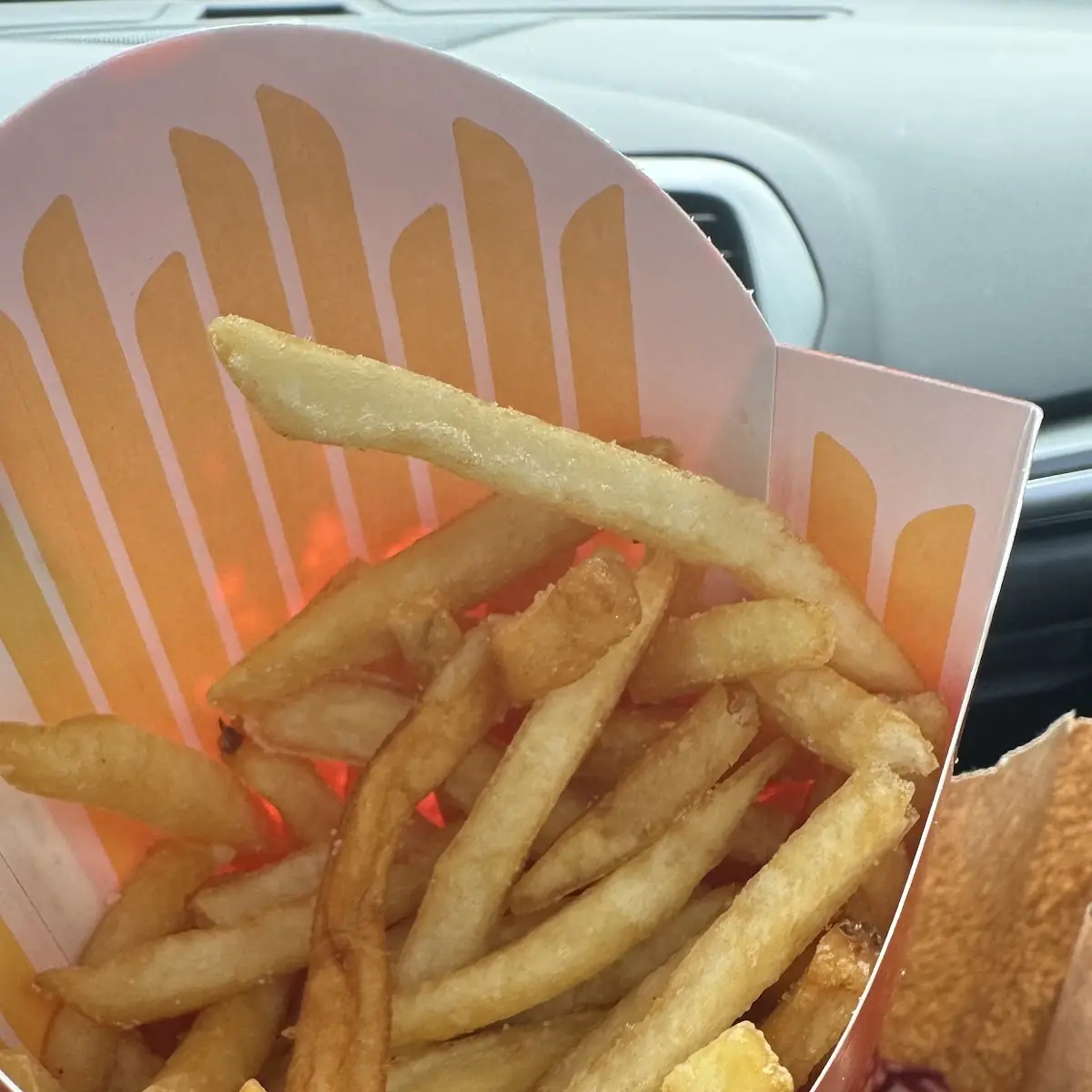World Famous Fries