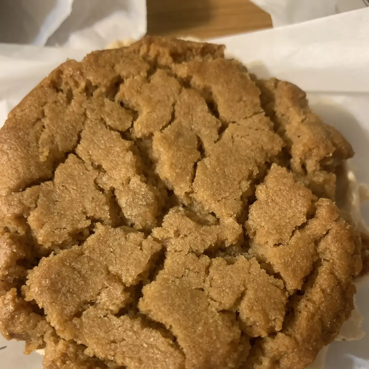Peanut Butter Cookie