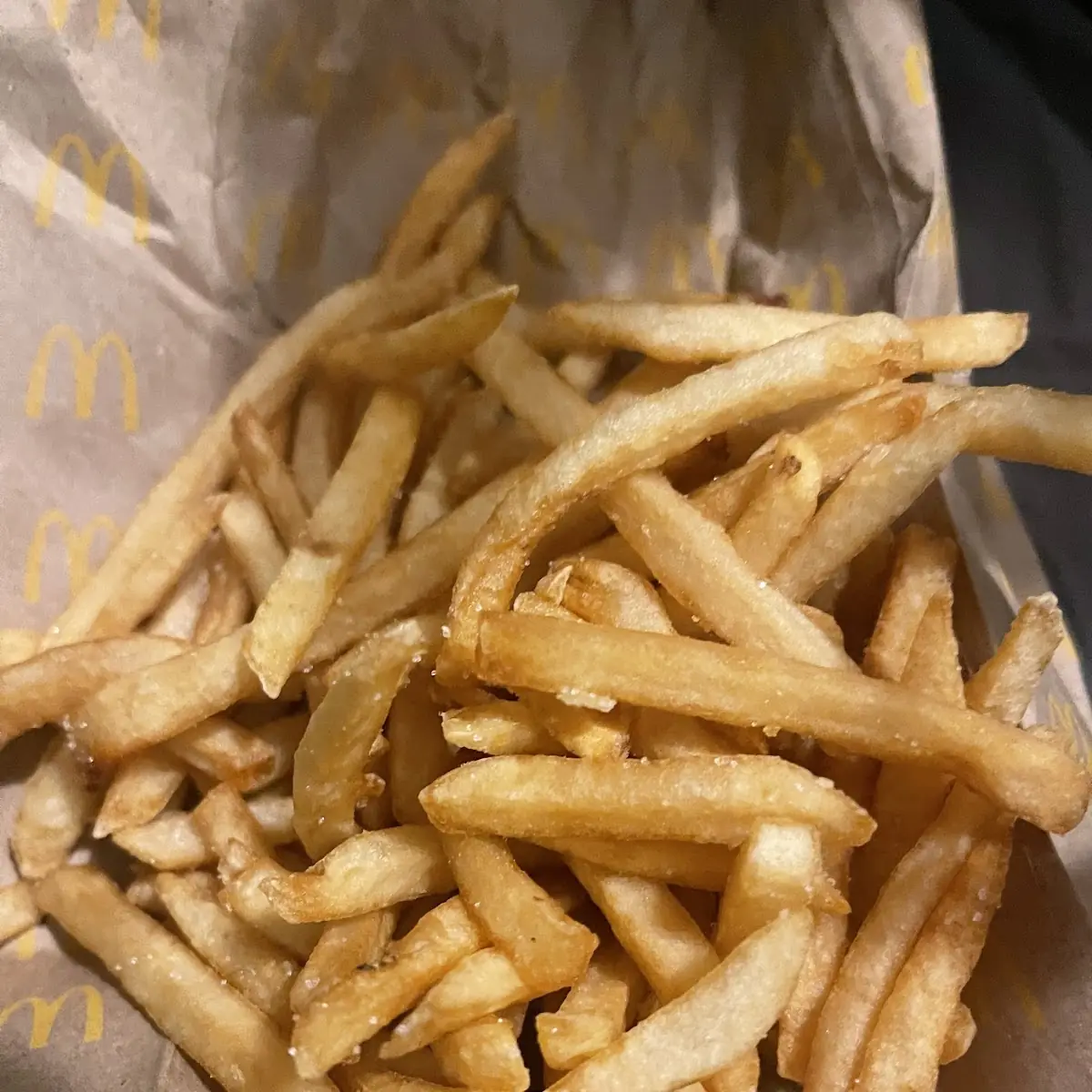 World Famous Fries