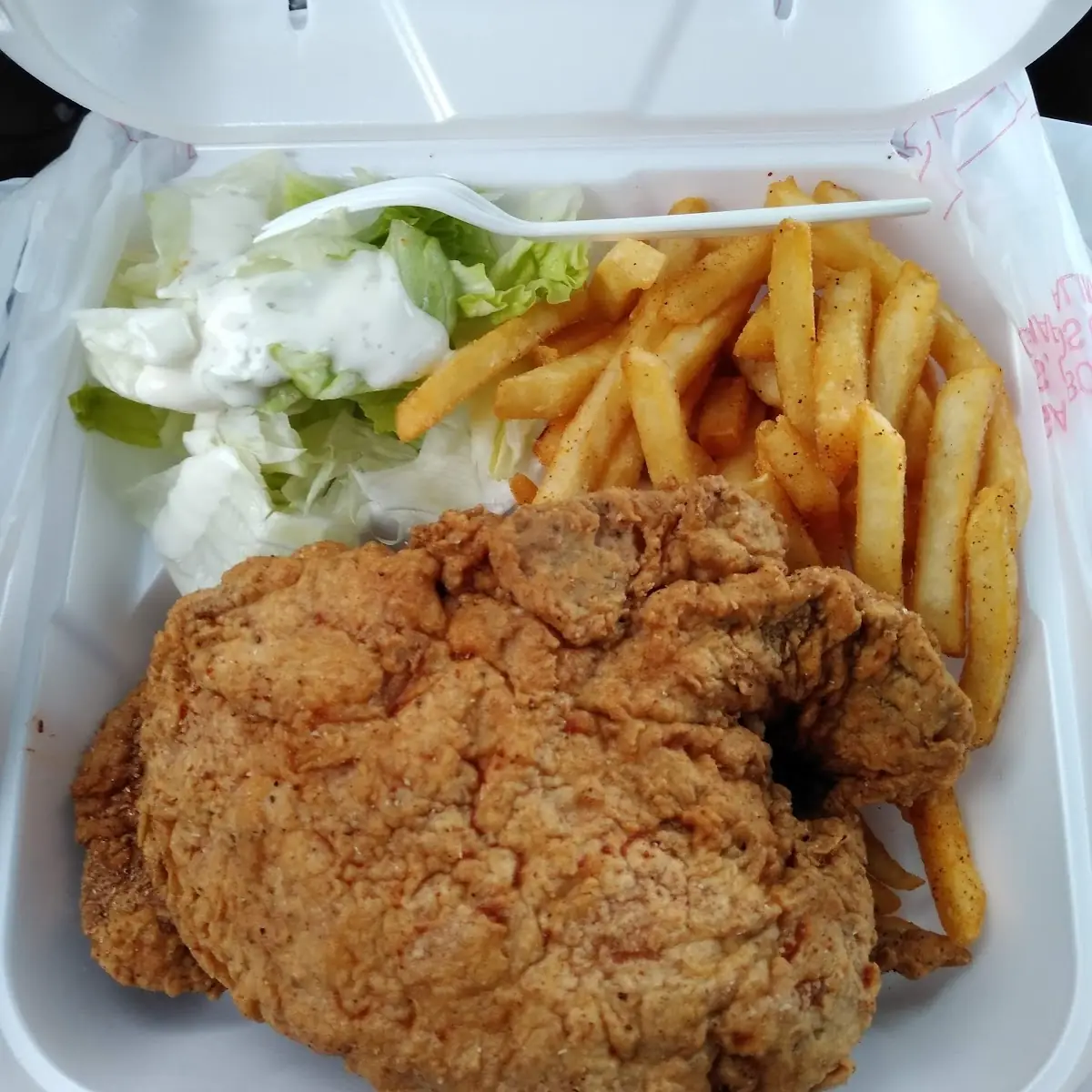 Pork Chops Fries & Salad