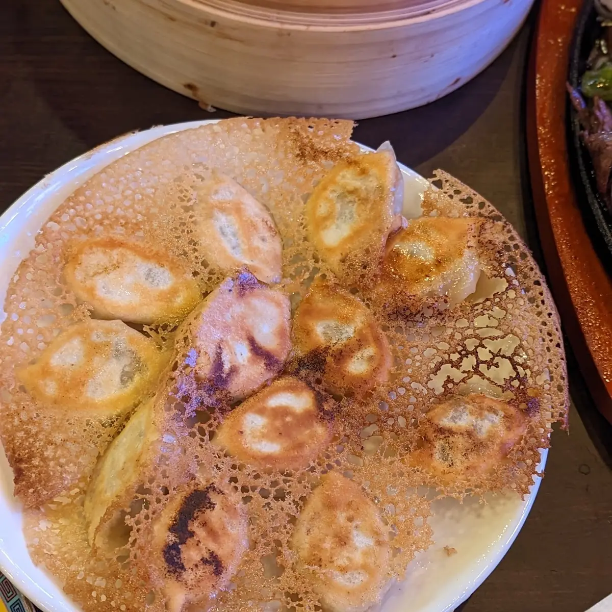 Pan Fried Dumplings