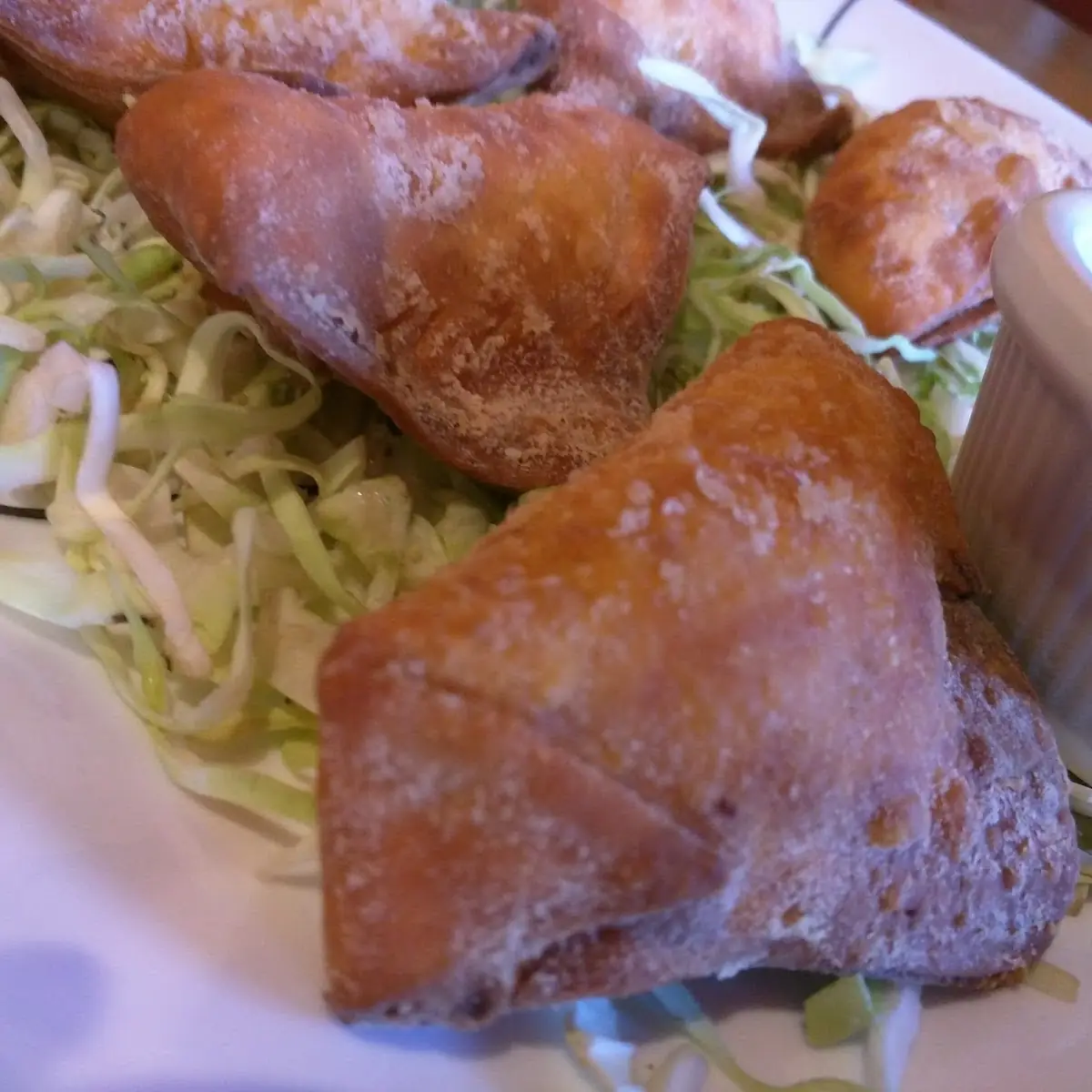 Fried Chicken Dumplings 8