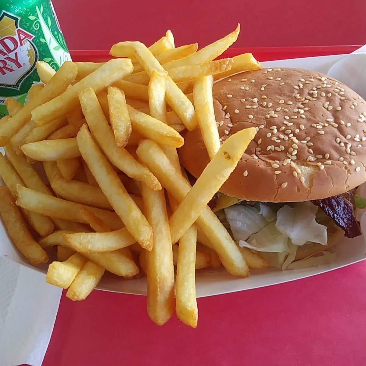 Cheese Burger and Fries