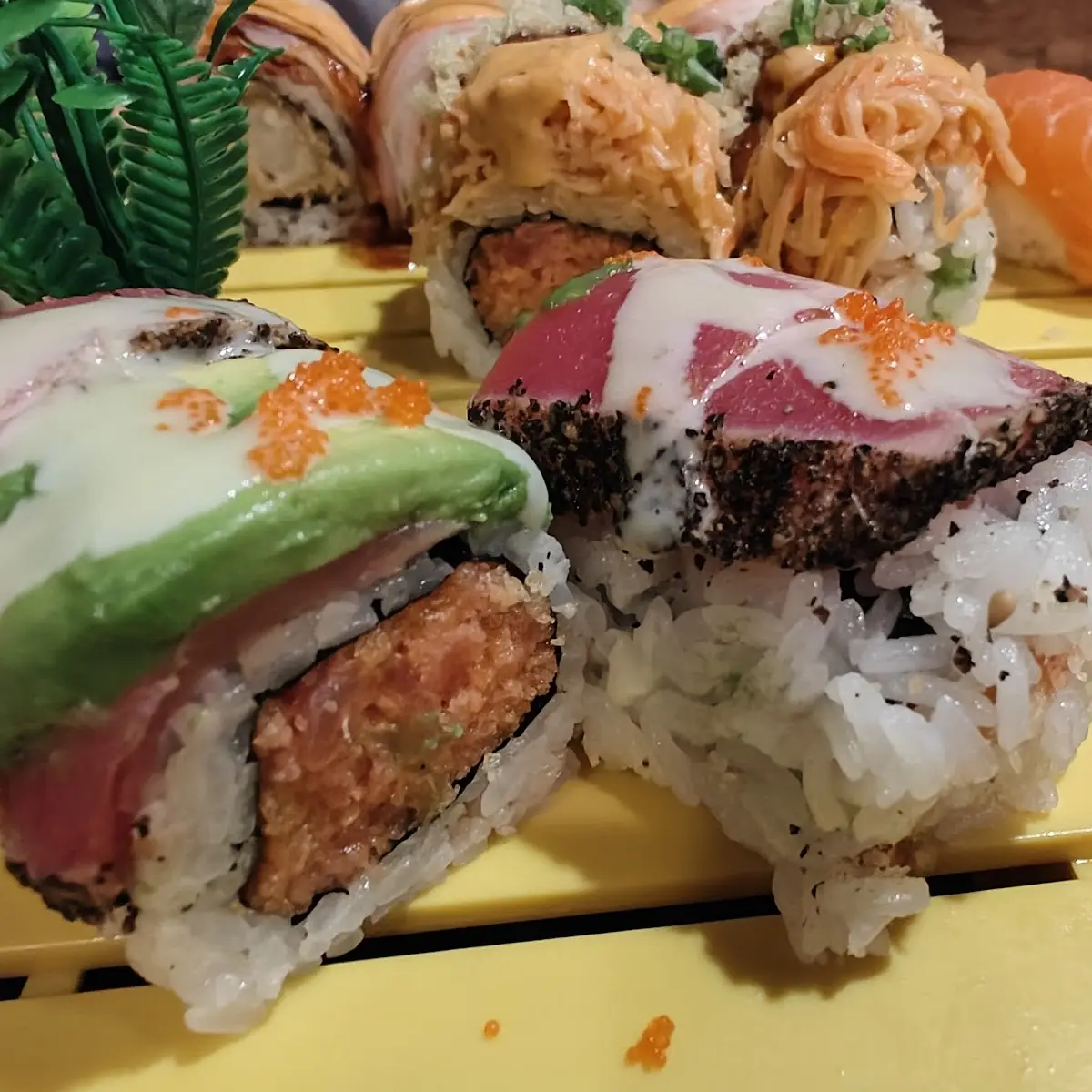 Crazy Tuna Maki