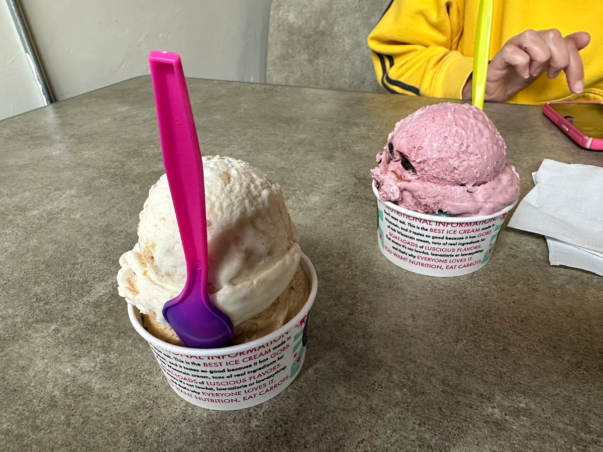 Hand Dipped Ice Cream