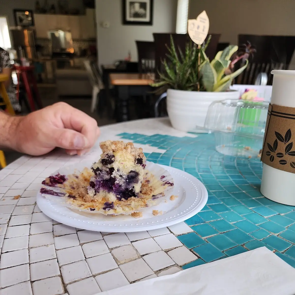 Blueberry Muffin