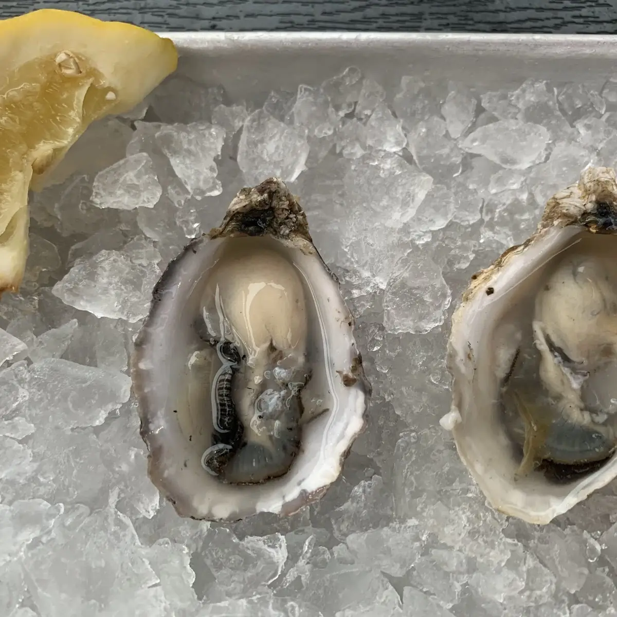 Fresh Oysters with Mignonette and Lemon