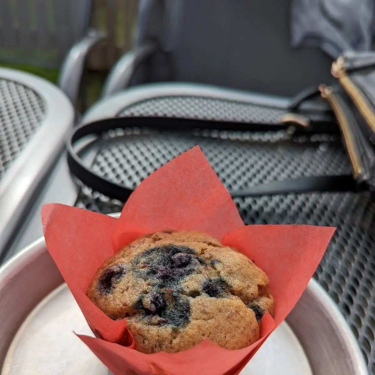Blueberry Muffin