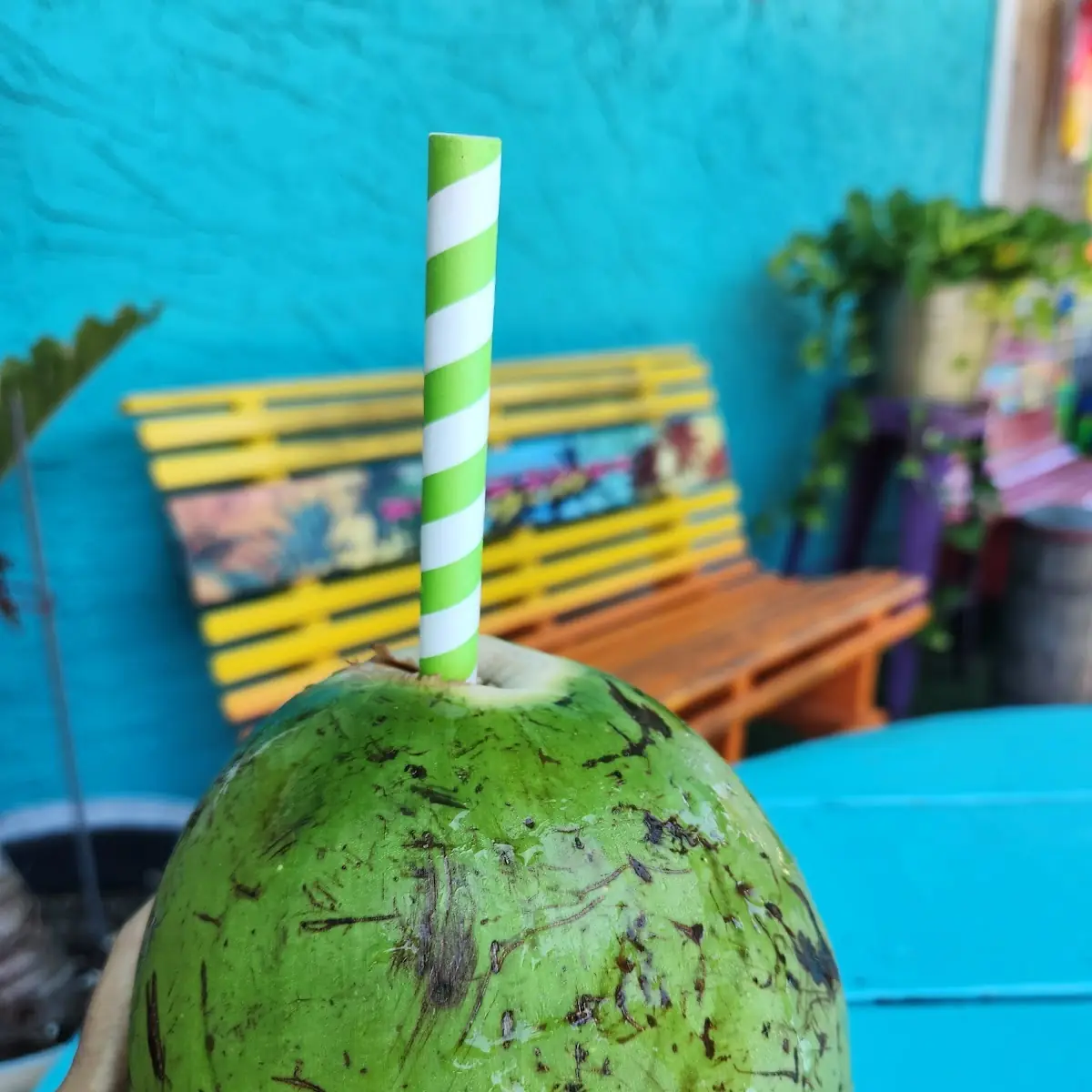 Coconut Water