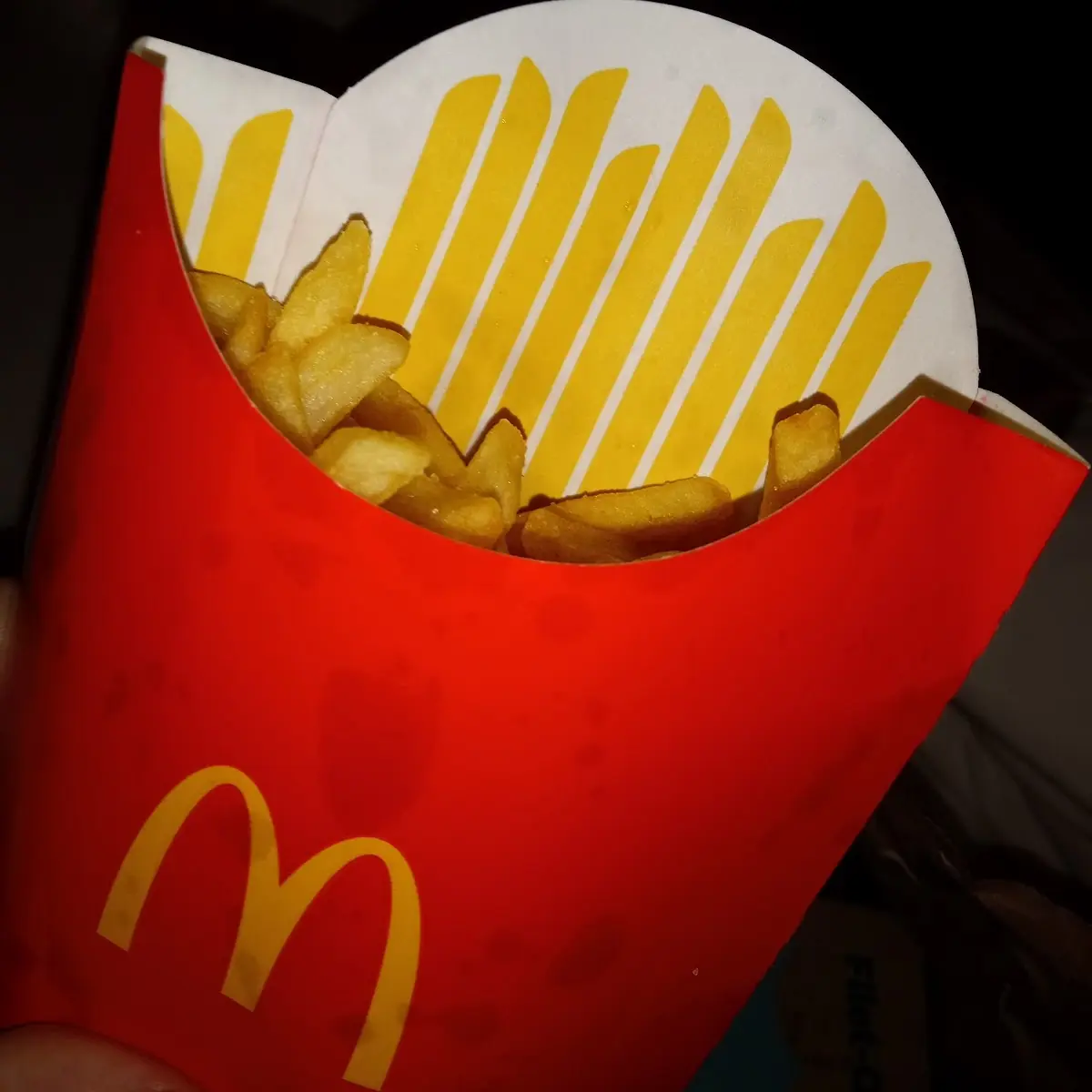 Large Fries at Seneca McDonalds
