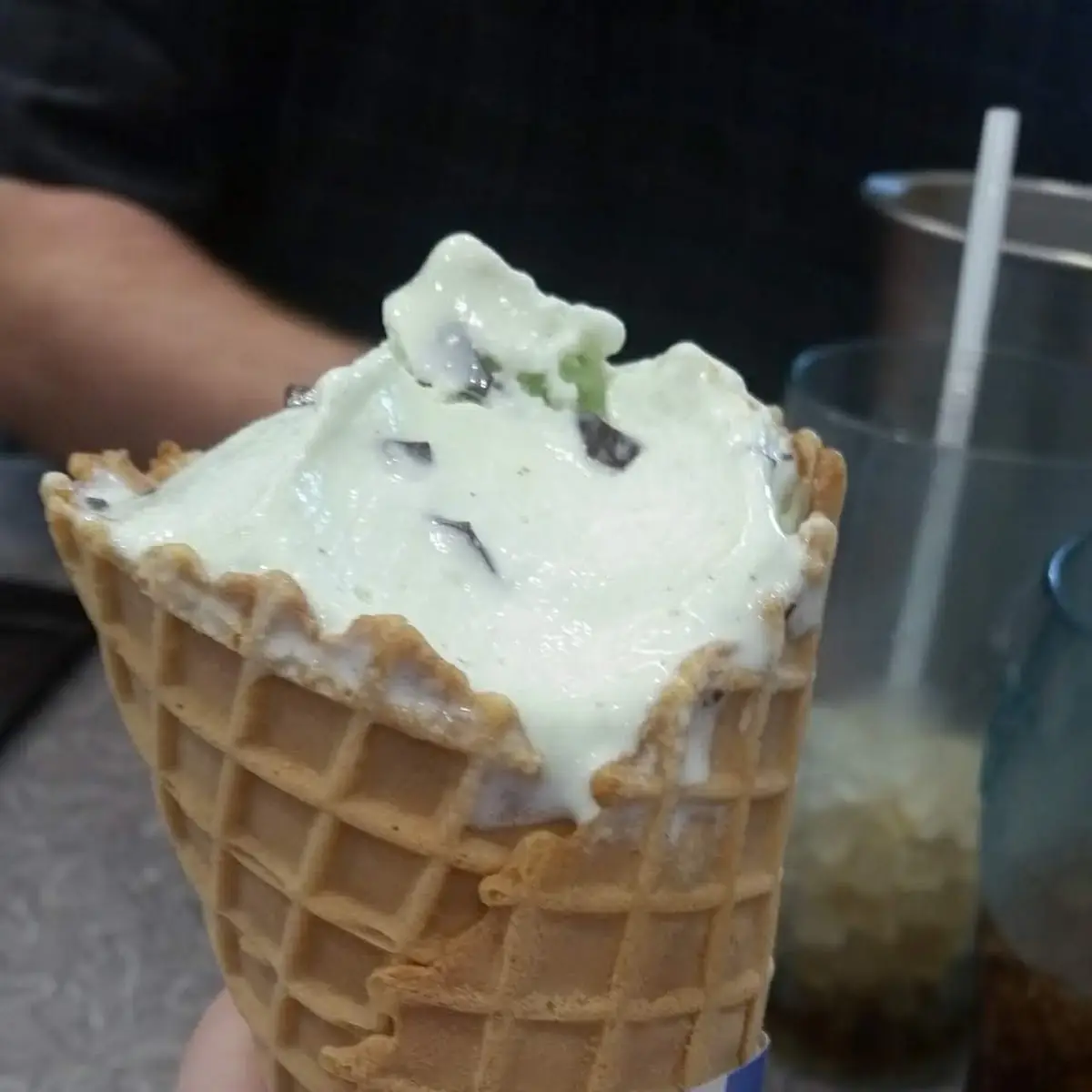 Mint Chocolate Chip