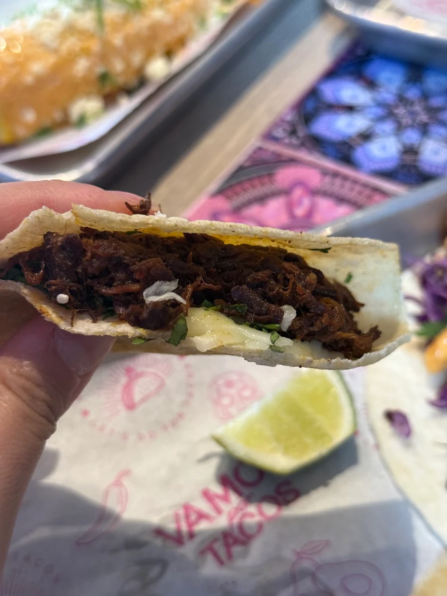 Birria Quesadilla