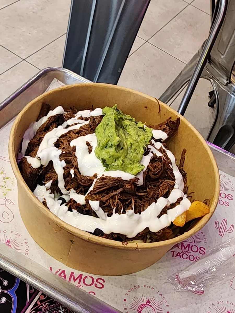 French Fries with Birria