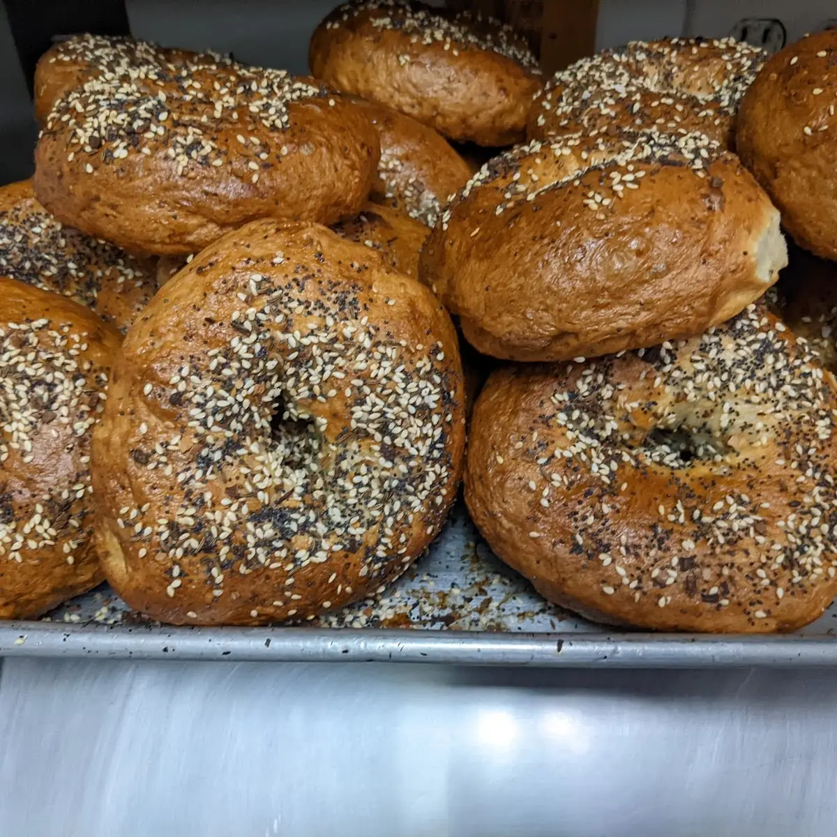 Fresh Baked Everything Bagel