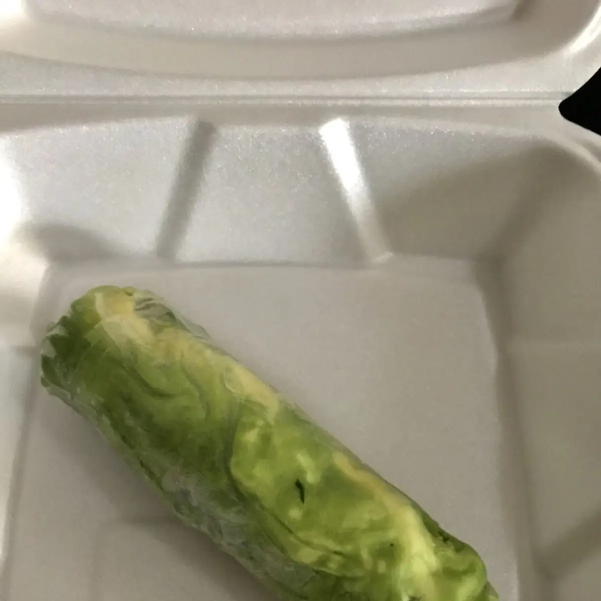 1 Single Spring Roll
