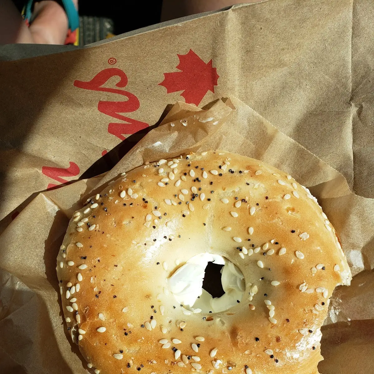 Everything Bagel