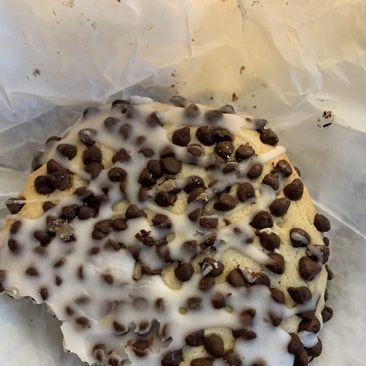Chocolate Chip