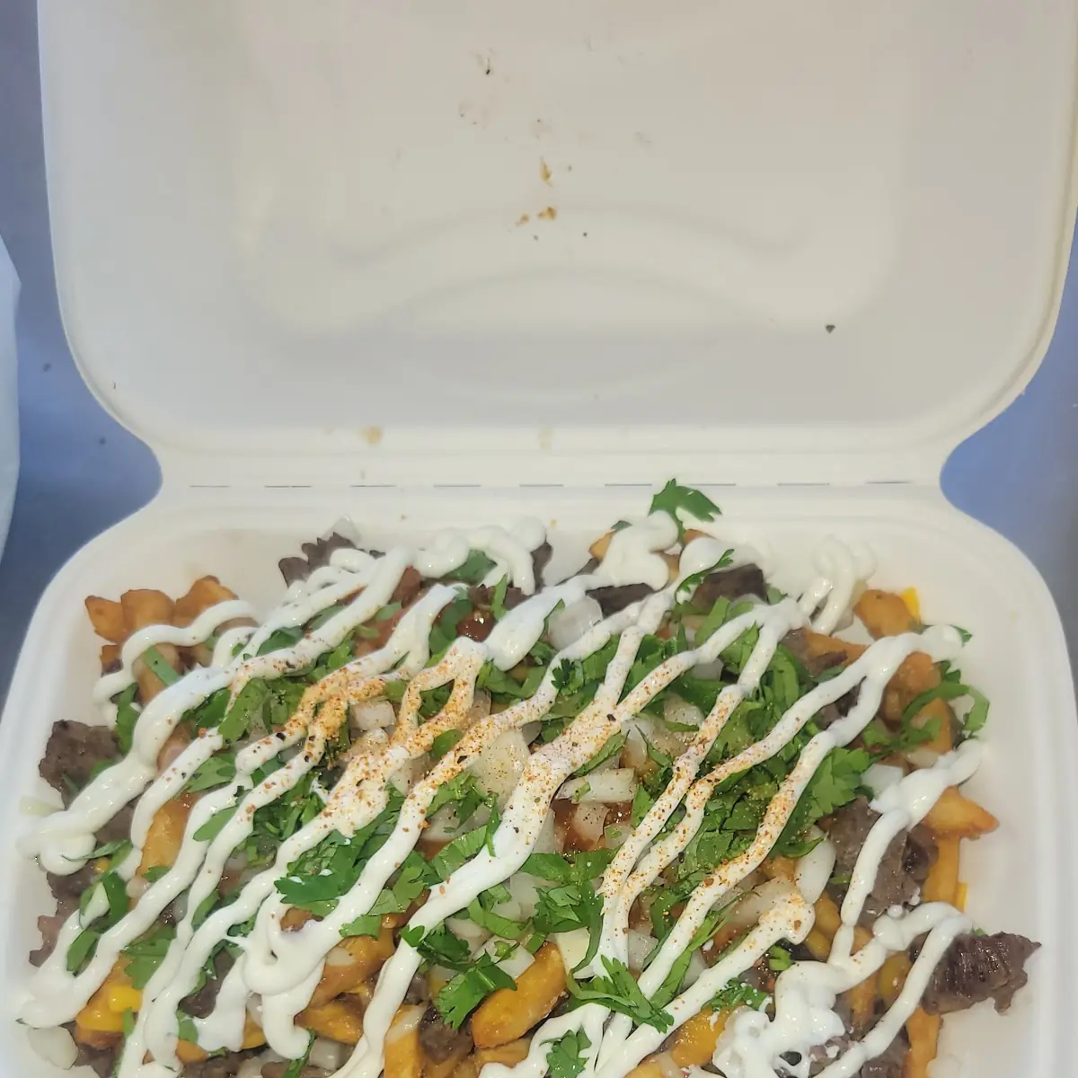 Asada Fries