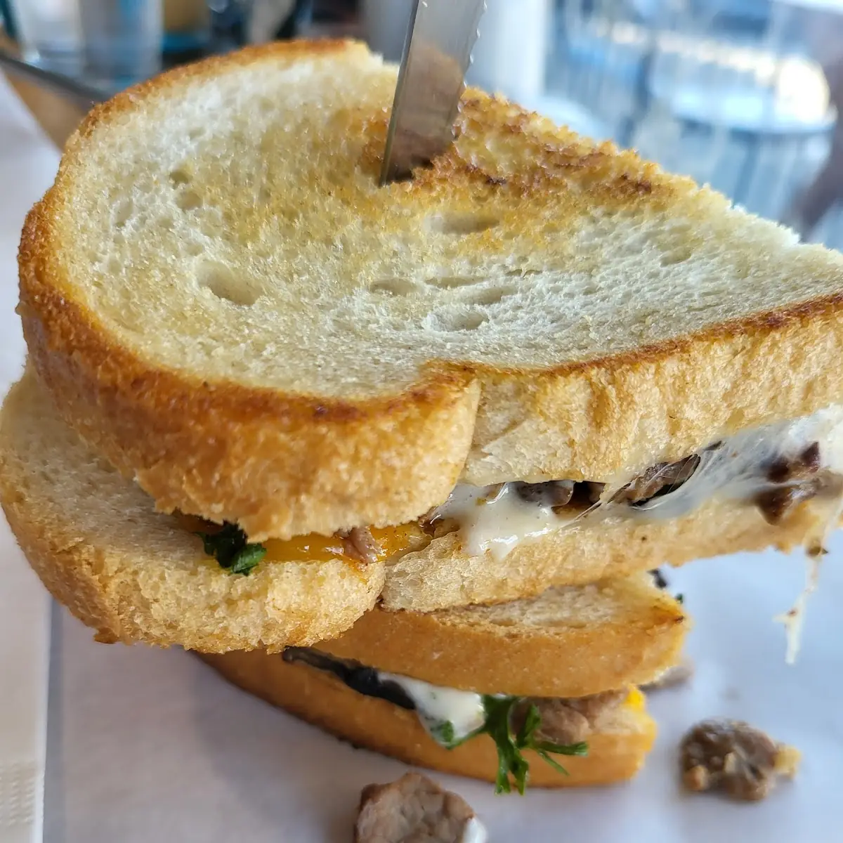 Tri Tip Sandwich