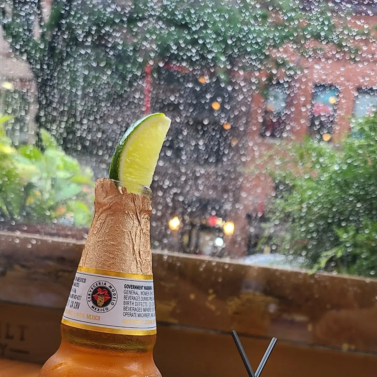 Corona Modelo Especial