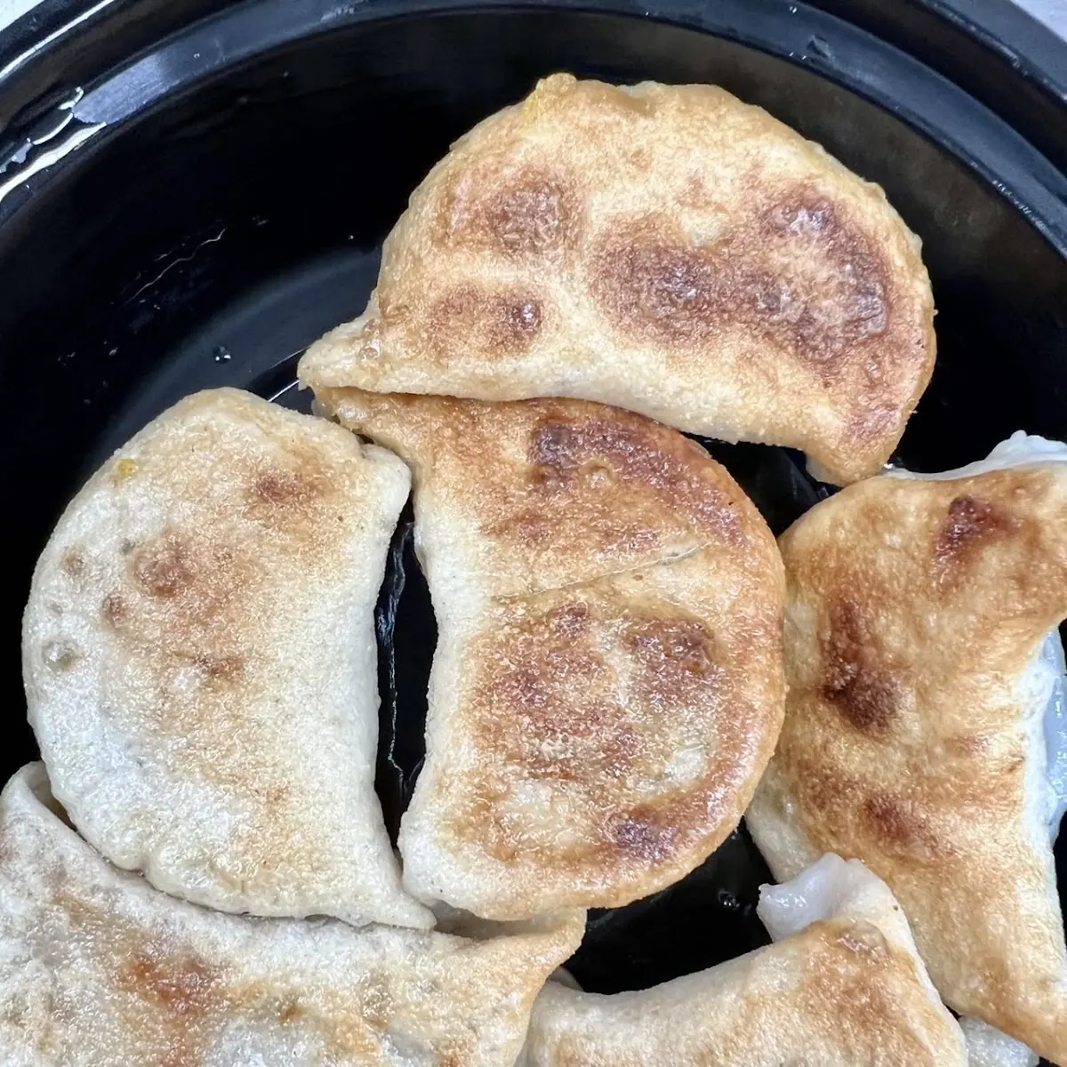 Fried Pork Dumplings