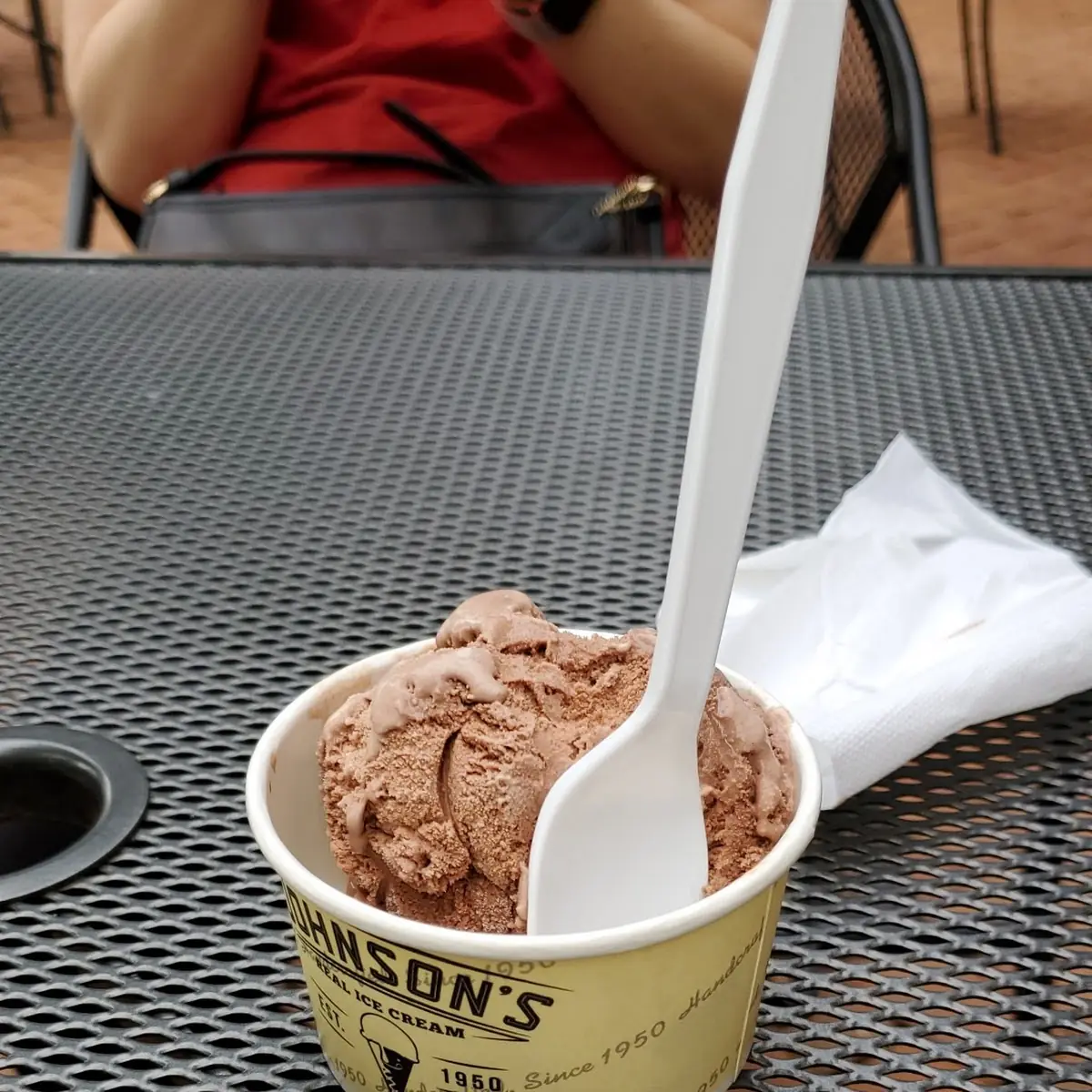 Chocolate Ice Cream