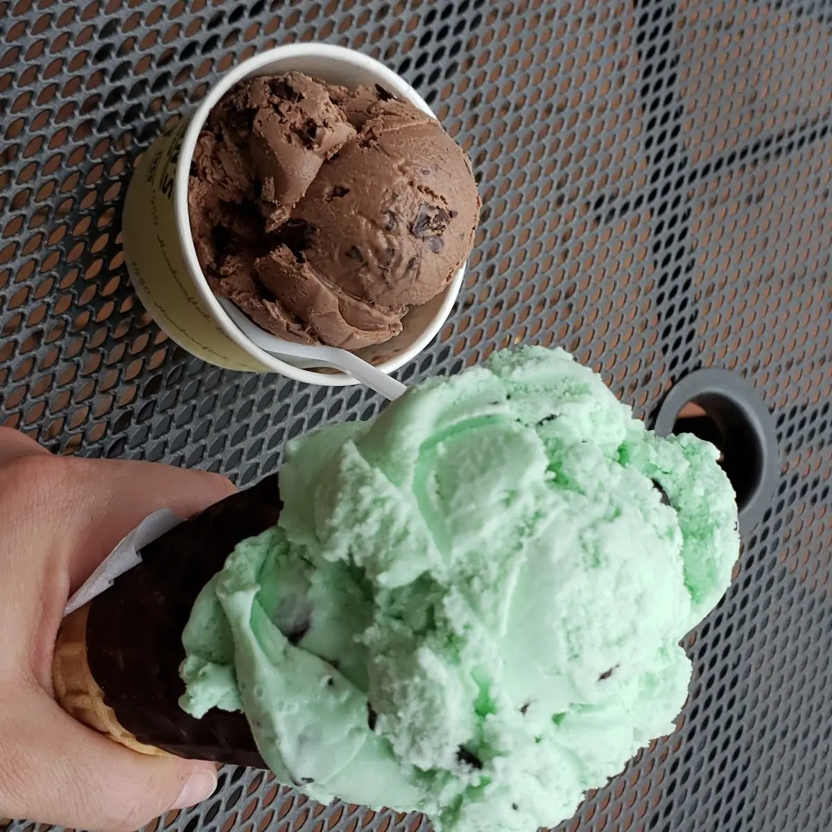 Mint Chocolate Chip