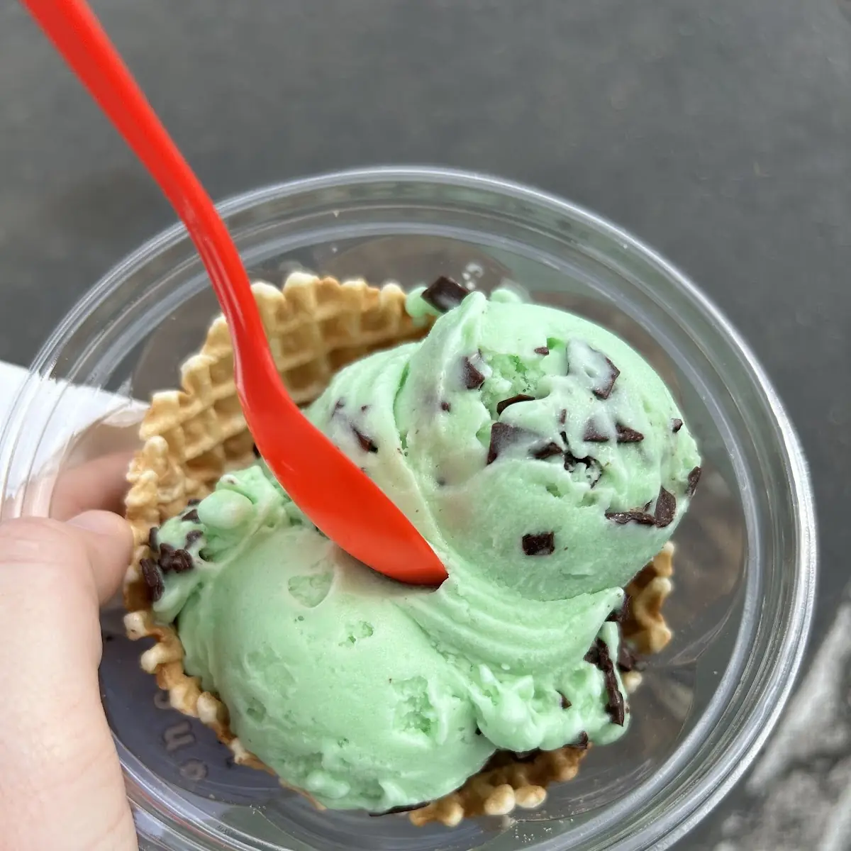 Dairy Free Mint Chocolate Chip
