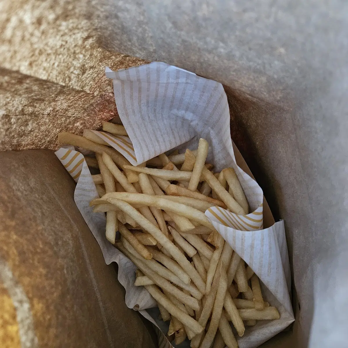 World Famous Fries