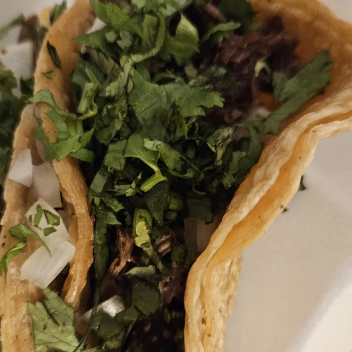 Barbacoa Taco