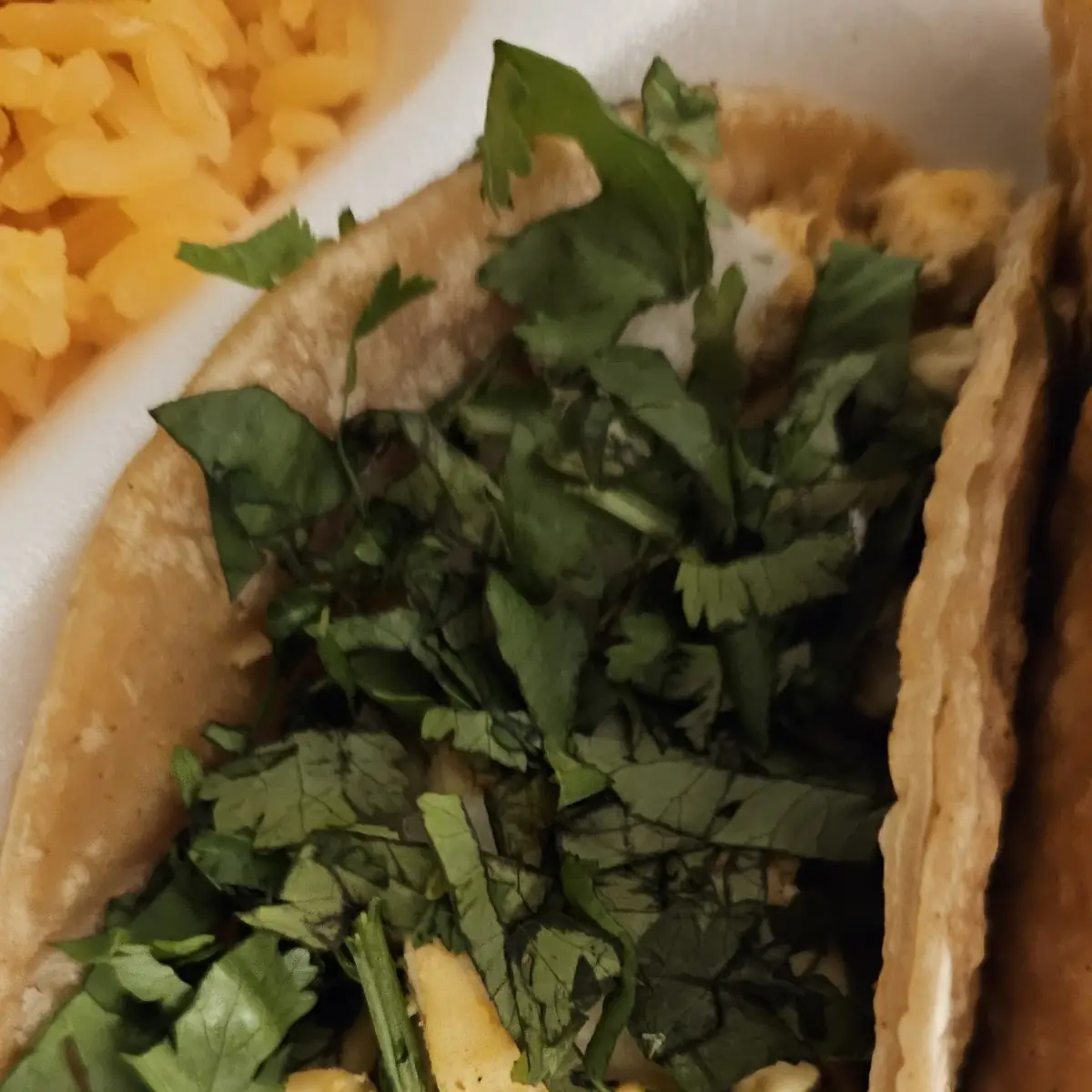 Chicken Taco