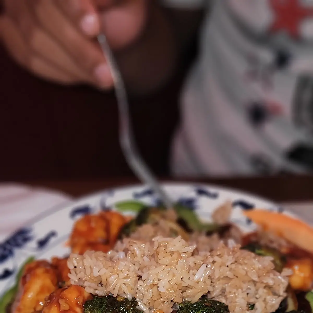 Shrimp and Broccoli with Fried Rice