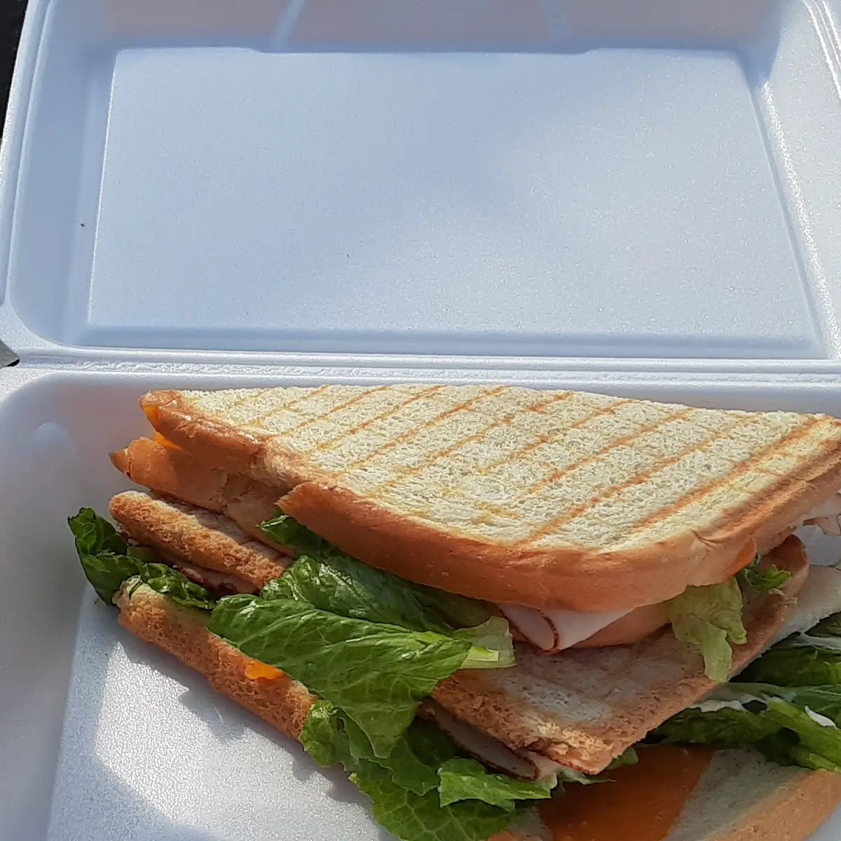 Frozen Hot Chocolate & Toasted Ham Sandwich