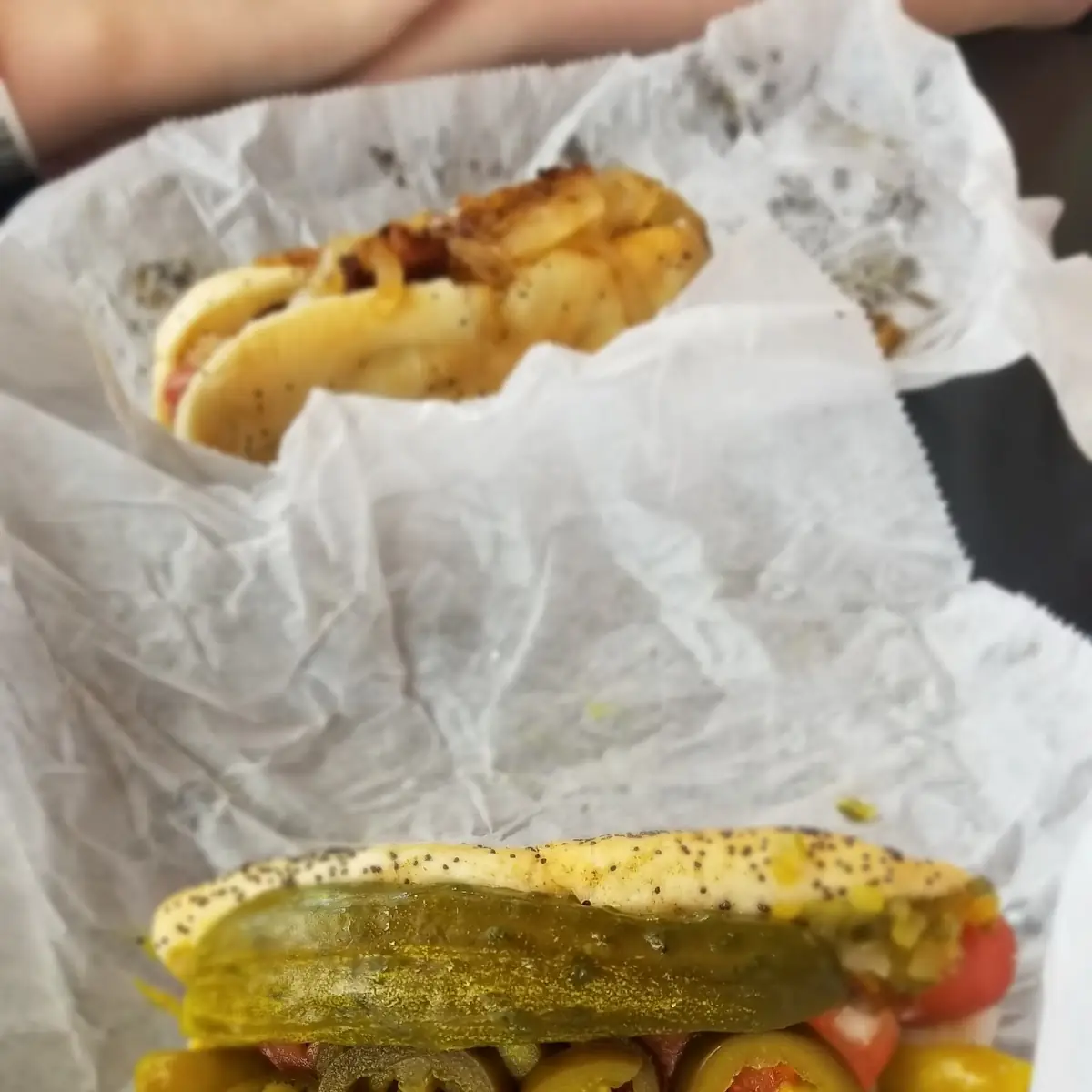 Chicago Dog