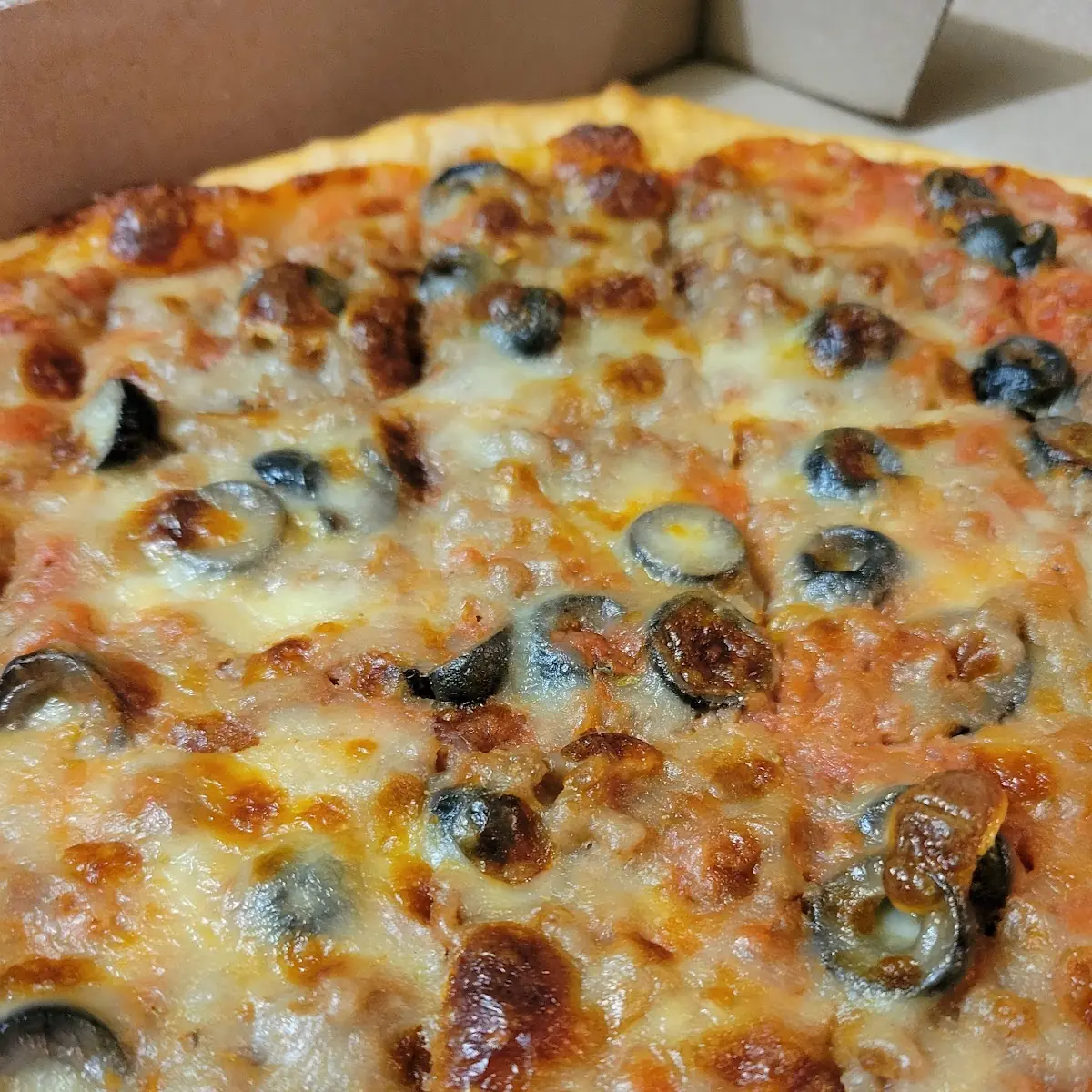 Thin Crust Pizza Black Olives