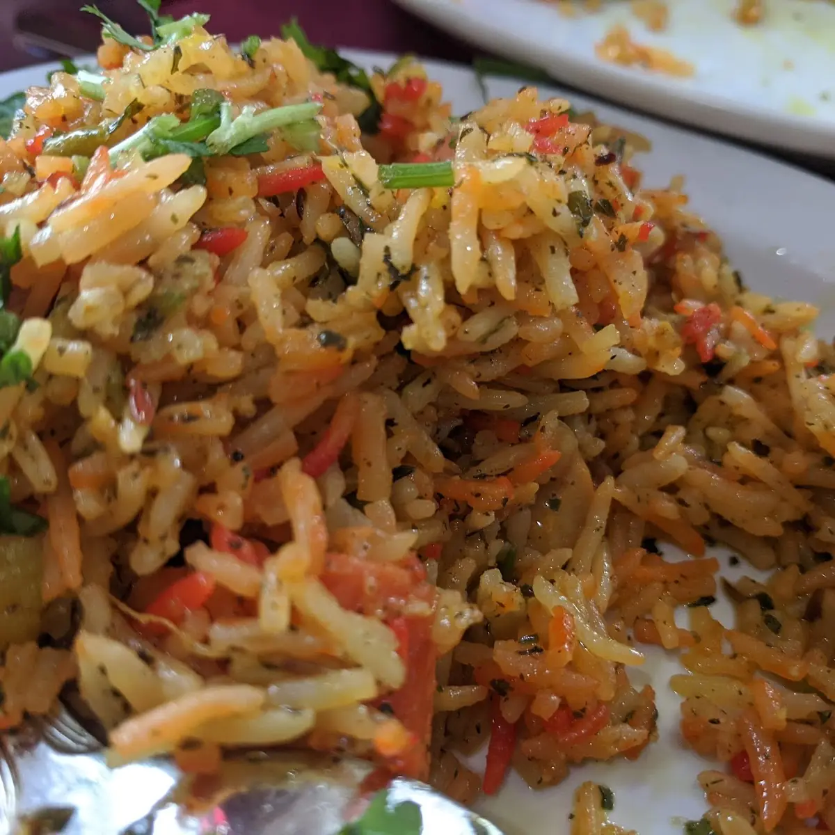 Veg Biryani