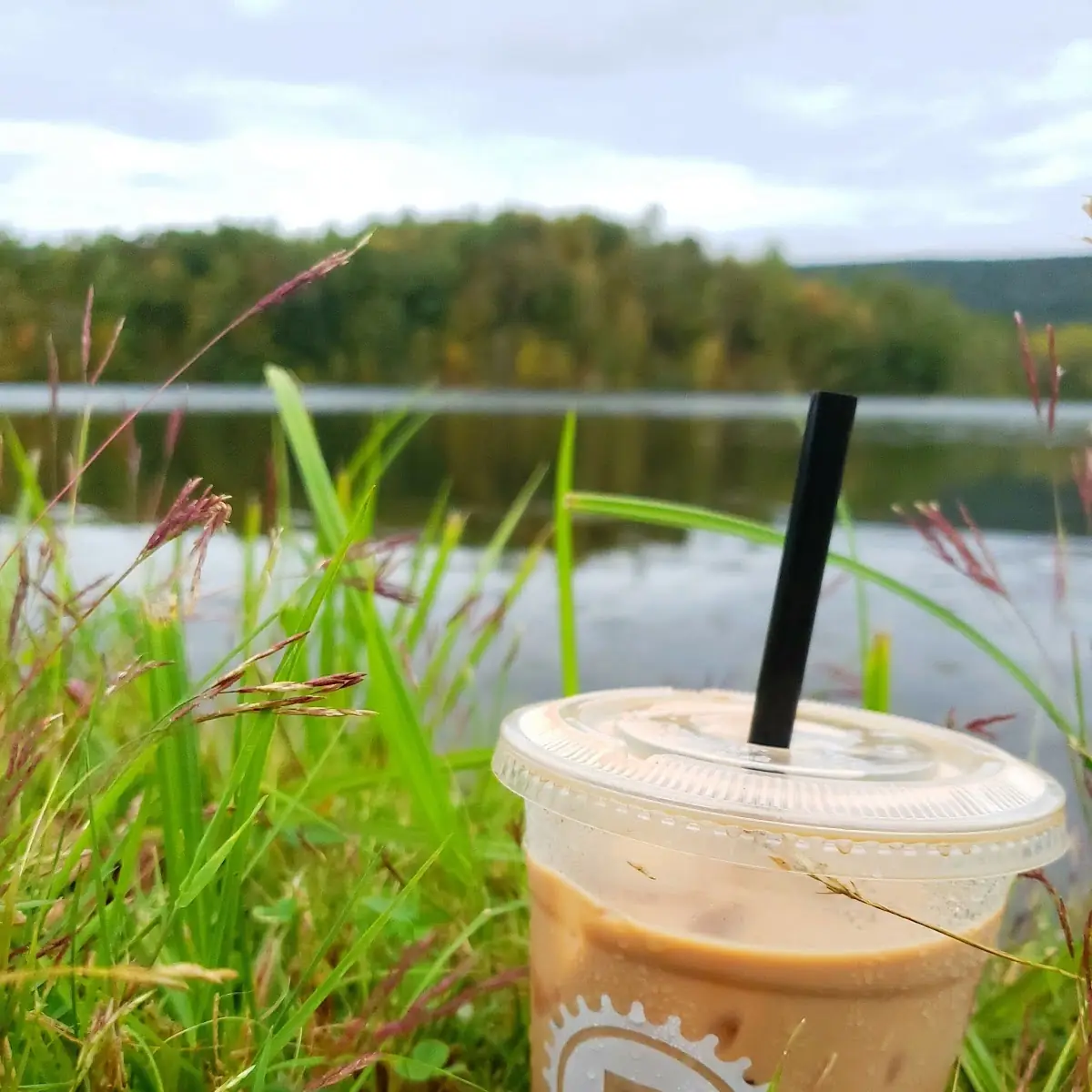 Iced Vanilla Latte