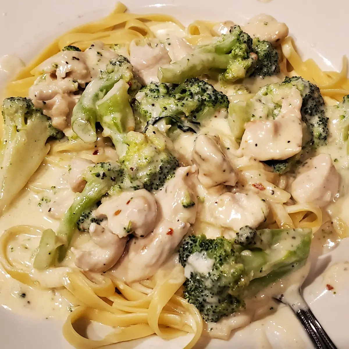 Chicken Broccoli Alfredo